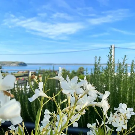 Sea View * 利缇纳